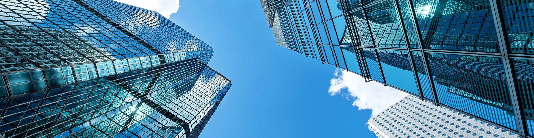 会社概要・理念体系